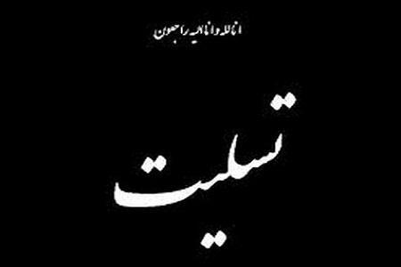 پیام تسلیت سخنگوی دبیرخانه شورای عالی امنیت ملی در پی درگذشت پیغام تسلیت سخنگوی دبیرخانه شورای عالی امنیت ملی در پی درگذشت سردبیر روزنامه خبرنگاران