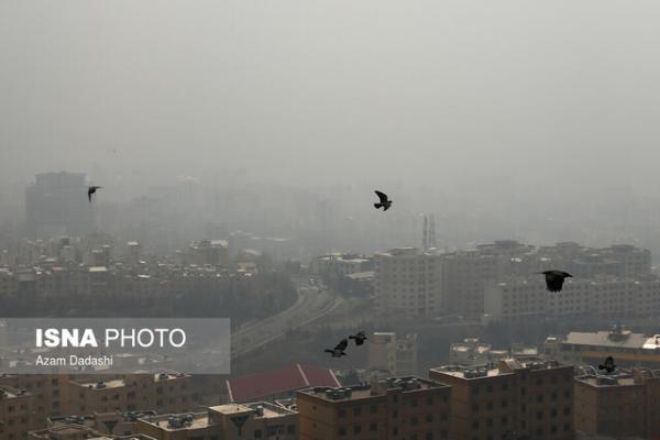 مقابله با آلودگی هوای تهران نیازمند تعامل تمام دستگاه ها، رصد روزانه سوخت مصرفی واحدهای صنعتی