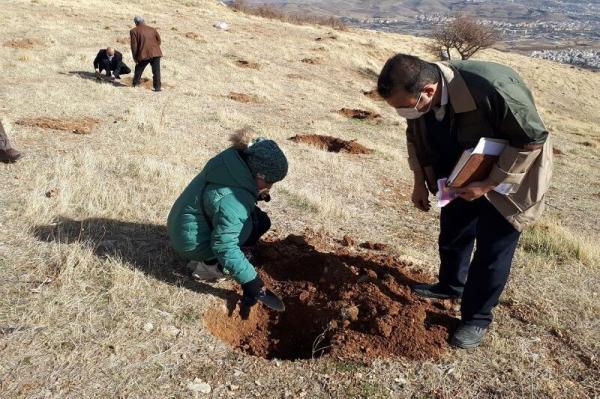 پویش مردمی بذرکاری و احیای 3 هزار هکتار از جنگل های زاگرس