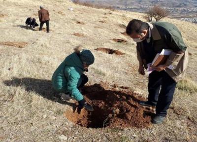 پویش مردمی بذرکاری و احیای 3 هزار هکتار از جنگل های زاگرس