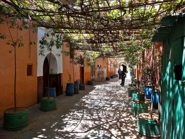 جاذبه هایی که فقط در مراکش پیدا می شوند